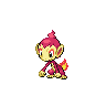 Shiny Chimchar